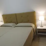شقة 